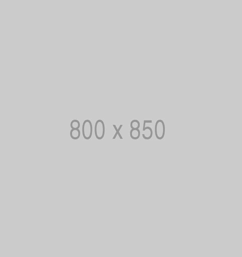 800x850